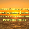 Фамилия Ксавье: история и происхождение фамилии, особенности и склонение на русском языке