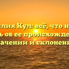 Фамилия Кул: всё, что нужно знать об ее происхождении, значении и склонении