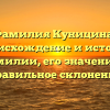 Фамилия Куницина: происхождение и история фамилии, его значение и правильное склонение