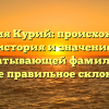 Фамилия Курий: происхождение, история и значение захватывающей фамилии, а также правильное склонение.