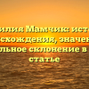Фамилия Мамчик: история происхождения, значение и правильное склонение в одной статье