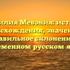 Фамилия Мебония: история происхождения, значение и правильное склонение в современном русском языке