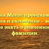 Фамилия Мели: происхождение, история и склонение — все, что нужно знать о значении этой фамилии