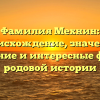 Фамилия Мехнин: происхождение, значение, склонение и интересные факты о родовой истории