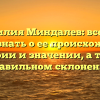 Фамилия Миндалев: все, что нужно знать о ее происхождении, истории и значении, а также правильном склонении