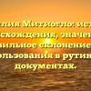 Фамилия Митиогло: история происхождения, значение и правильное склонение для использования в рутинных документах.