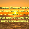 Фамилия Молют: история происхождения, значение и правила склонения — подробный обзор для генеалогов и интересующихся