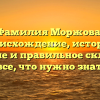 Фамилия Моржова: происхождение, история, значение и правильное склонение – все, что нужно знать!
