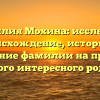 Фамилия Мохина: исследуем происхождение, историю и склонение фамилии на примере этого интересного рода!