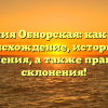 Фамилия Обнорская: как узнать происхождение, историю и значения, а также правила склонения!