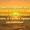 Фамилия Оюю: всё о происхождении, истории и значении этой уникальной фамилии, а также правильное склонение