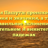 Фамилия Пашута: происхождение, история и значения, а также правильное склонение в родительном и винительном падежах
