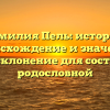 Фамилия Пель: история, происхождение и значение, полное склонение для составления родословной