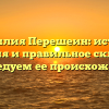 Фамилия Перешеин: истоки, значения и правильное склонение – исследуем ее происхождение!