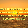 Фамилия Пинегина: история происхождения, значение и правила склонения в современном русском языке