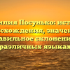 Фамилия Посунько: история происхождения, значение и правильное склонение в различных языках