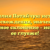 Фамилия Потайчук: история происхождения, значение и правильное склонение – исследуем ее глубже!