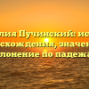 Фамилия Пучинский: история происхождения, значения и склонение по падежам