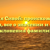 Фамилия Сивой: происхождение и история, все о значении и способы склонения фамилии