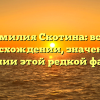 Фамилия Скотина: всё о происхождении, значении и склонении этой редкой фамилии