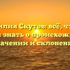 Фамилия Скутов: всё, что вы хотели знать о происхождении, значении и склонении