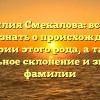Фамилия Смекалова: все, что нужно знать о происхождении и истории этого рода, а также правильное склонение и значение фамилии