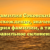 Фамилия Соковский: происхождение, значения и история фамилии, а также правильное склонение
