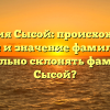 Фамилия Сысой: происхождение, история и значение фамилии. Как правильно склонять фамилию Сысой?
