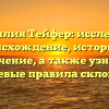 Фамилия Тейфер: исследуем происхождение, историю и значение, а также узнаем ключевые правила склонения