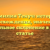 Фамилия Текуч: история происхождения, значение и правильное склонение в одной статье