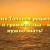 Фамилия Толчеев: родословная, смысл и грамматика — всё, что нужно знать!