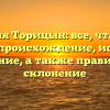 Фамилия Торицын: все, что нужно знать — происхождение, история и значение, а также правильное склонение