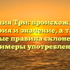 Фамилия Три: происхождение, история и значение, а также важные правила склонения и примеры употребления