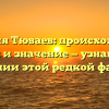 Фамилия Тюваев: происхождение, история и значение — узнайте все о склонении этой редкой фамилии