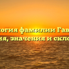Генеалогия фамилии Гавайлер: история, значения и склонения