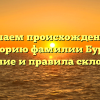 Изучаем происхождение и историю фамилии Бурок: значение и правила склонения