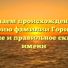 Изучаем происхождение и историю фамилии Горицкая: значение и правильное склонение имени