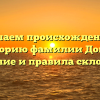 Изучаем происхождение и историю фамилии Донец: значение и правила склонения