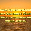 Изучаем происхождение и историю фамилии Малыгина: значение и склонение каждого члена семьи.