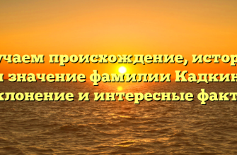 Изучаем происхождение, историю и значение фамилии Кадкин: склонение и интересные факты