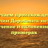 Изучаем происхождение фамилии Дорохович: история, значение и склонение на примерах