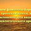 Изучаем фамилию Боронин: история происхождения, значение и склонение для вашего генеалогического древа