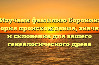 Изучаем фамилию Боронин: история происхождения, значение и склонение для вашего генеалогического древа