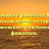 Исследование фамилии Мизова: происхождение, история и возможности склонения фамилии.