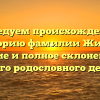 Исследуем происхождение и историю фамилии Жиков: значение и полное склонение для вашего родословного дерева.