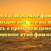 История и значение фамилии Мирсаидов: все, что вы хотели знать о происхождении и склонении этой фамилии.