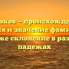 Мудаков — происхождение, история и значение фамилии, а также склонение в разных падежах