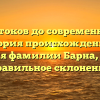 От истоков до современности: история происхождения и значения фамилии Барна, а также правильное склонение