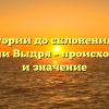 От истории до склонения: все о фамилии Выдря – происхождение и значение