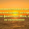 Познавательная статья: Происхождение, история и значение фамилии Мих, а также ее склонение